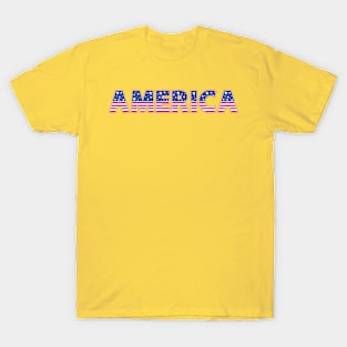 Flat USA Letter With USA Flag Color T-Shirt